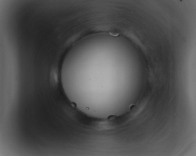X0000101670068200807101409