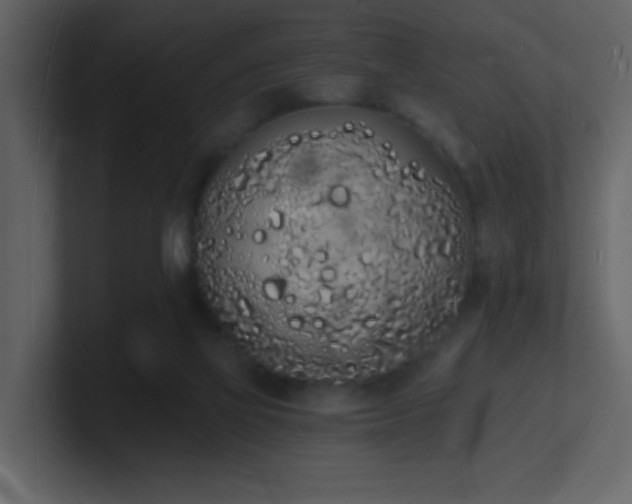 X0000101670069200807101409