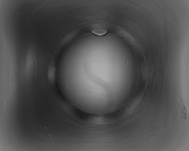 X0000101670071200807101409