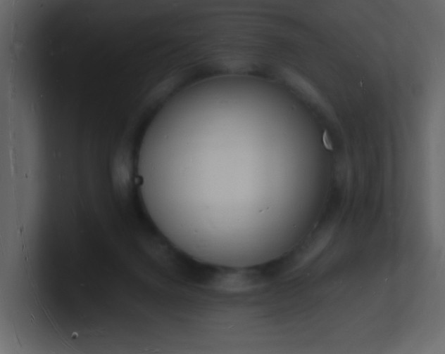X0000101670072200807101409