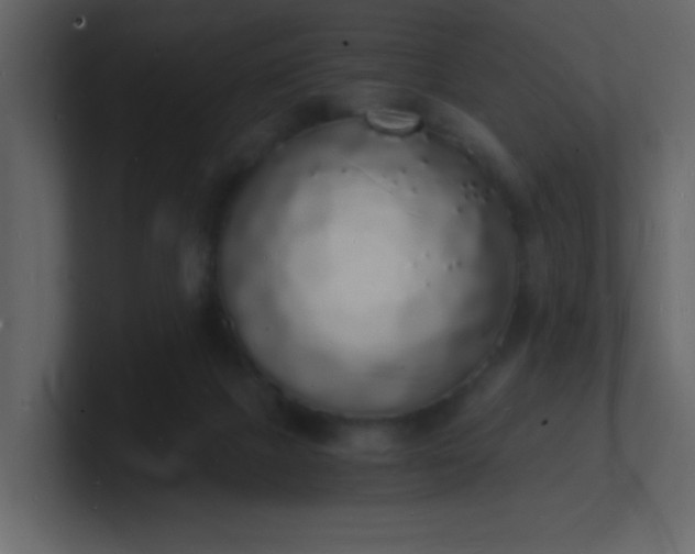 X0000101670073200807101409