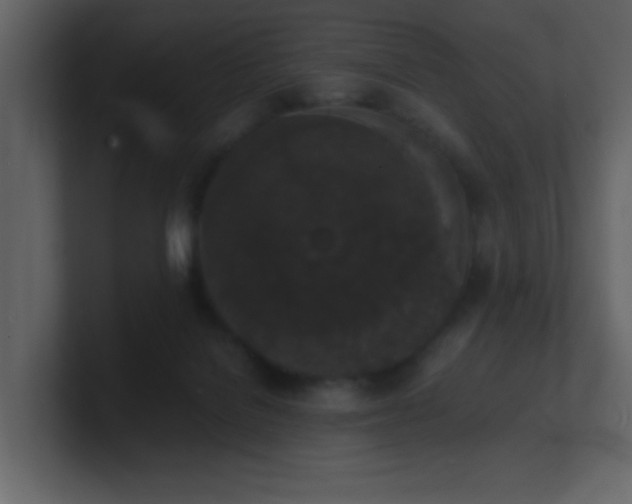 X0000101670076200807101409