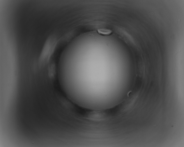 X0000101670077200807101409