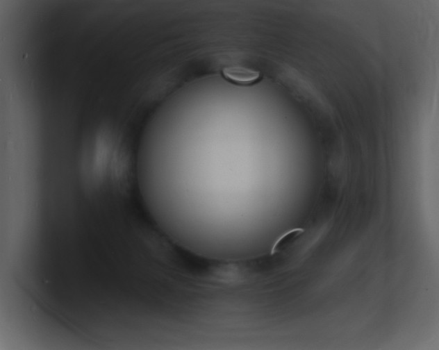 X0000101670079200807101409