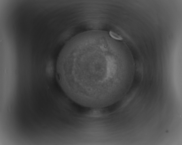 X0000101670080200807101409