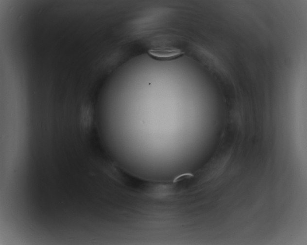 X0000101670081200807101409