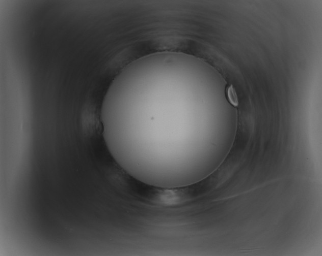 X0000101670091200807101409