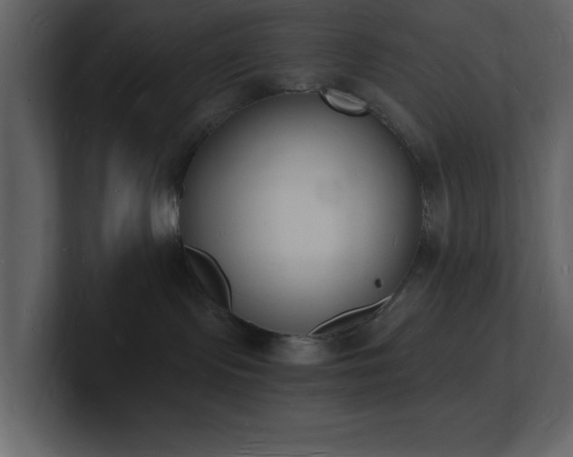 X0000101670095200807101409