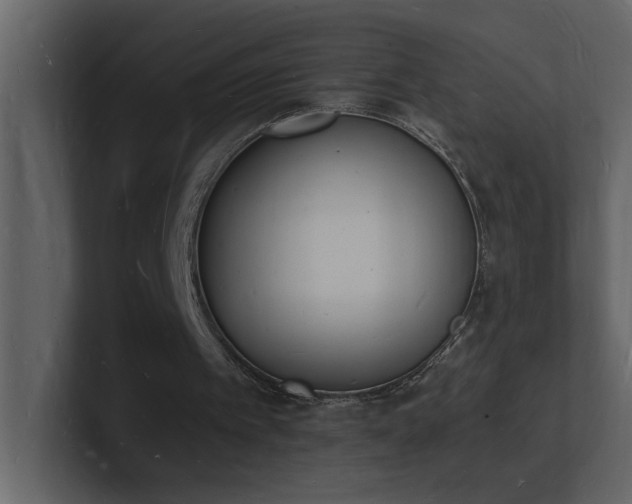 X0000101670097200807101409