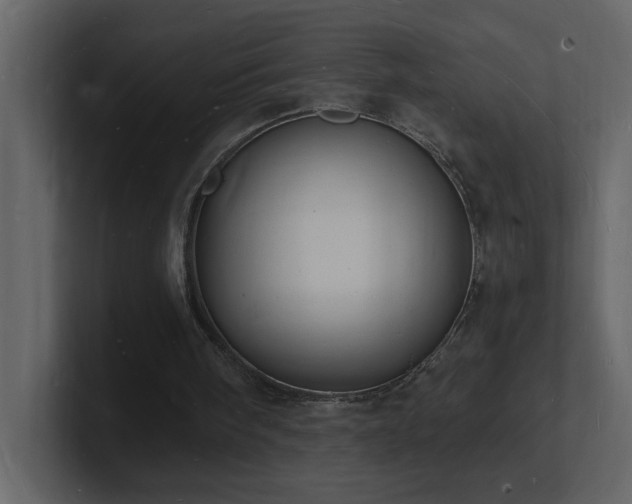 X0000101670098200807101409