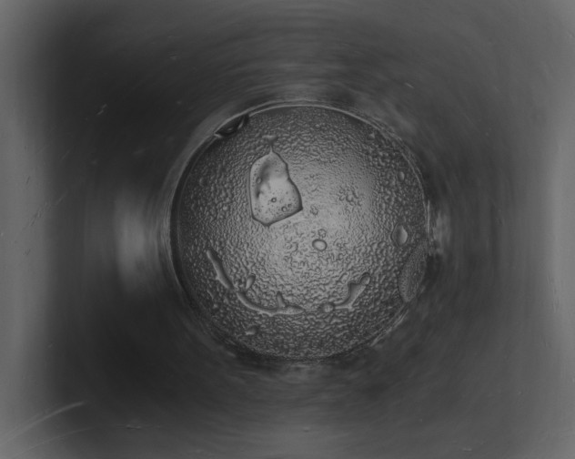 X0000101670099200807101409