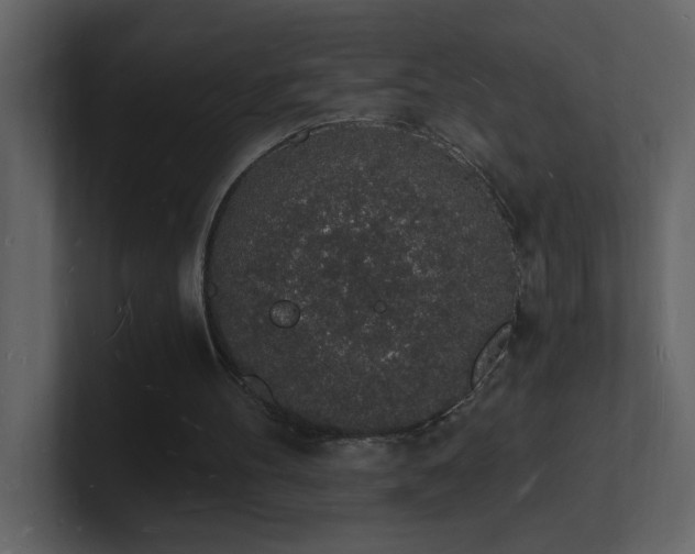 X0000101670100200807101409