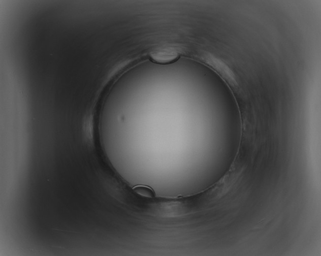 X0000101670108200807101409