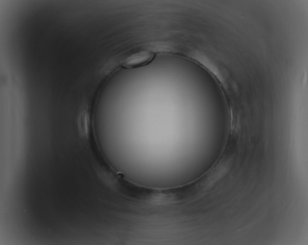 X0000101670109200807101409