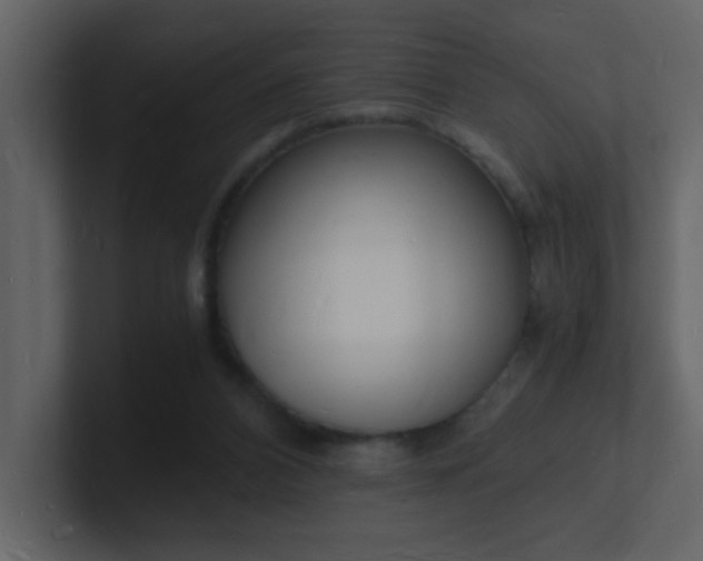 X0000101670112200807101409