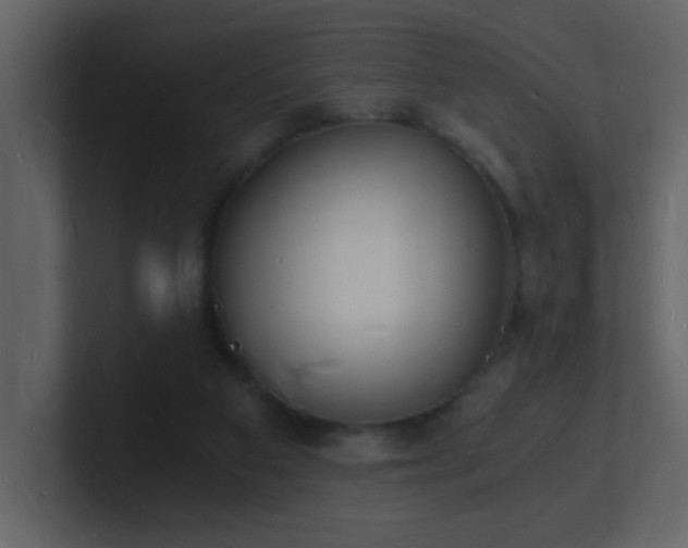 X0000101670113200807101409