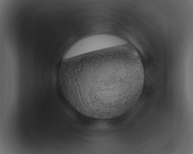 X0000101670114200807101409
