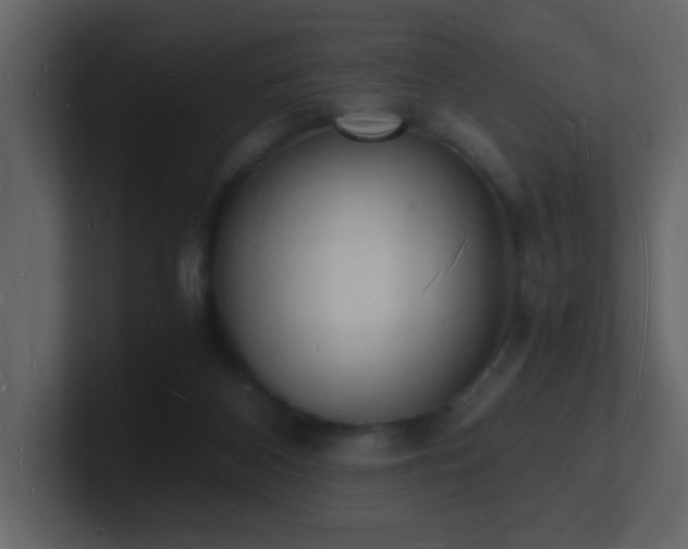 X0000101670116200807101408