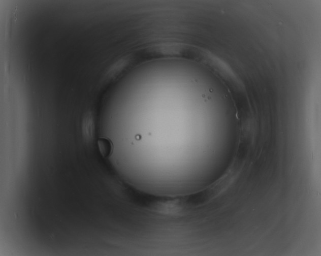 X0000101670120200807101408
