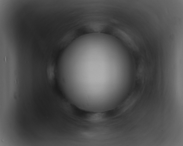 X0000101670122200807101408