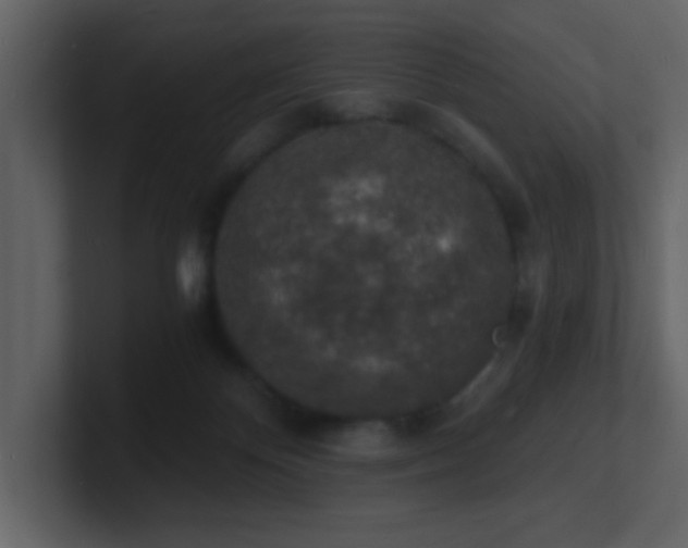 X0000101670124200807101408