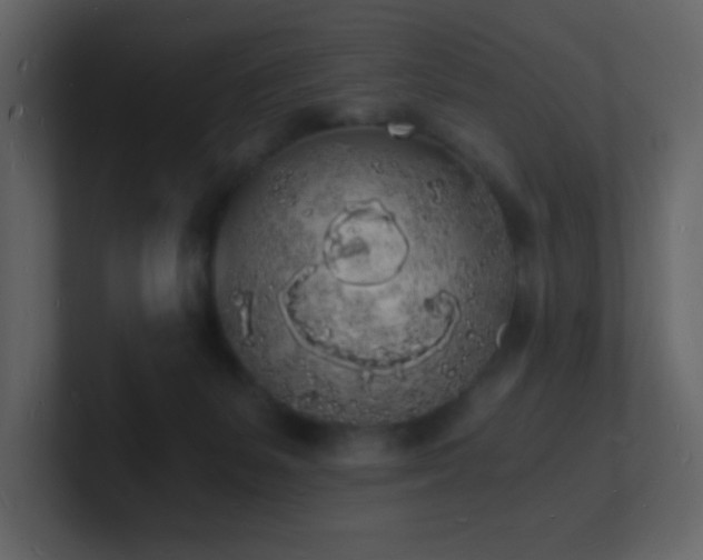 X0000101670127200807101408