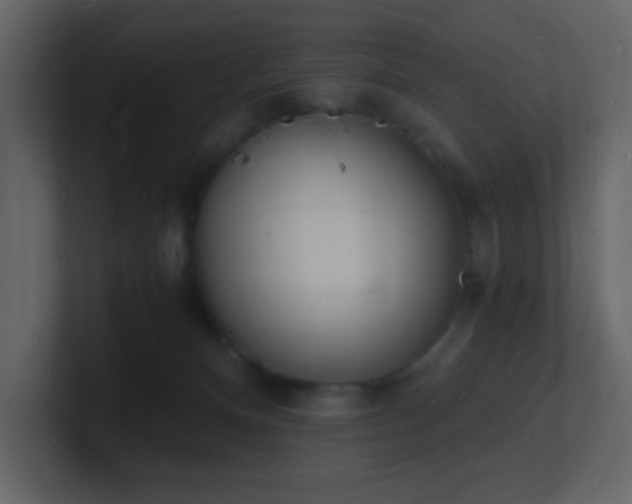 X0000101670128200807101408