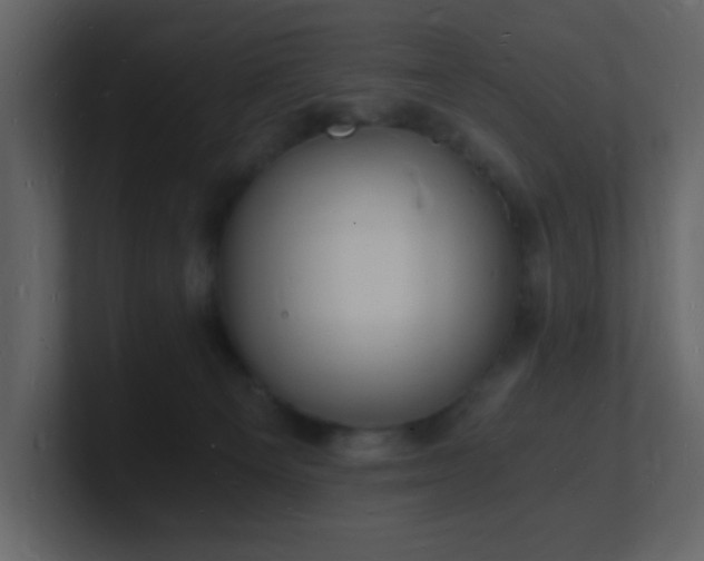 X0000101670129200807101408