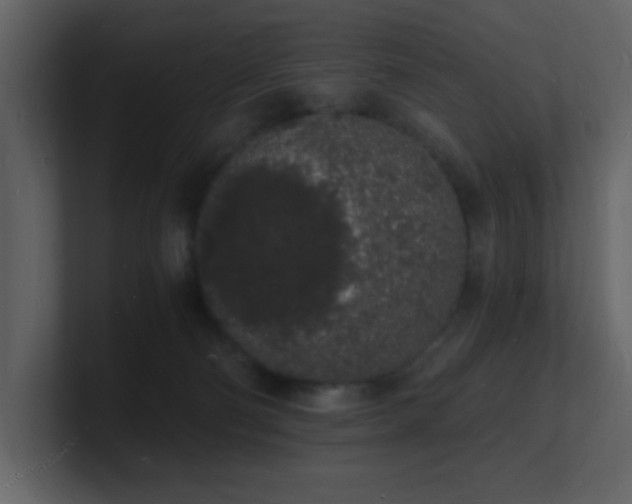 X0000101670130200807101408