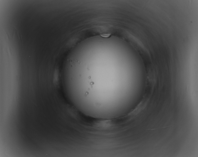 X0000101670132200807101408