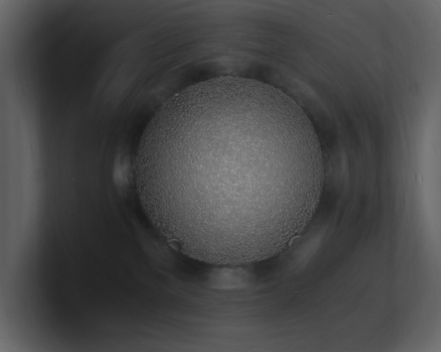 X0000101670137200807101408