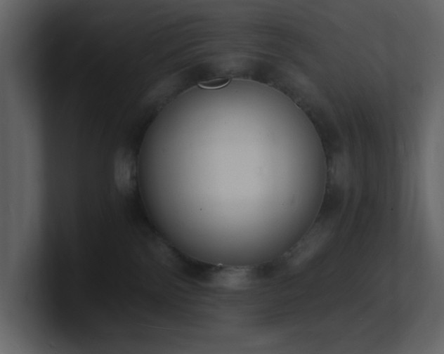 X0000101670138200807101408