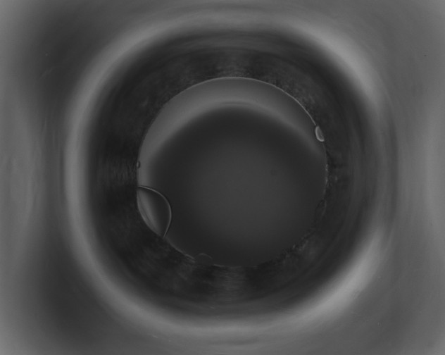 X0000101670143200807101408