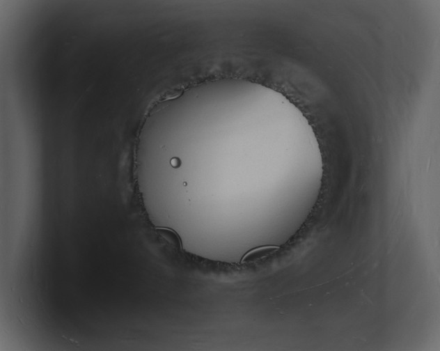 X0000101670144200807101408