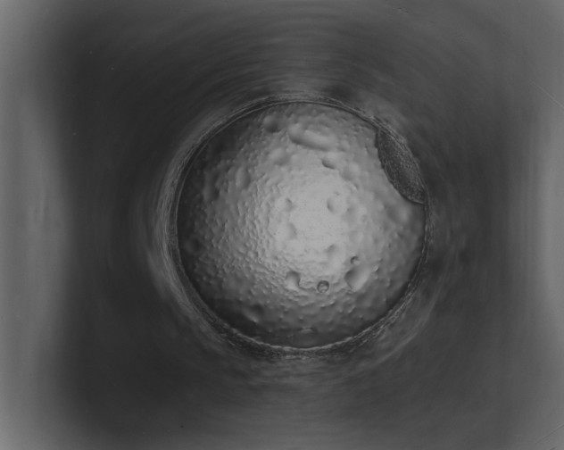 X0000101670145200807101407