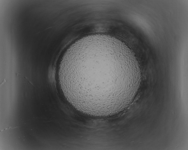 X0000101670146200807101407