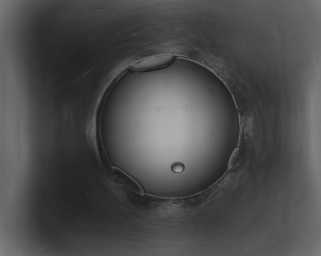 X0000101670148200807101408