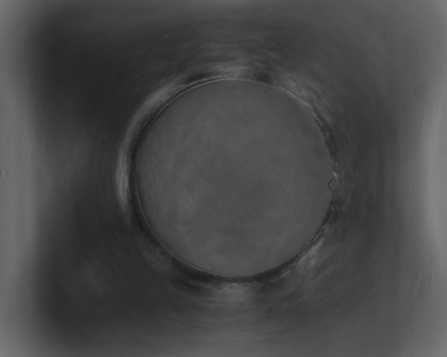 X0000101670149200807101408