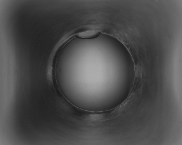 X0000101670150200807101408