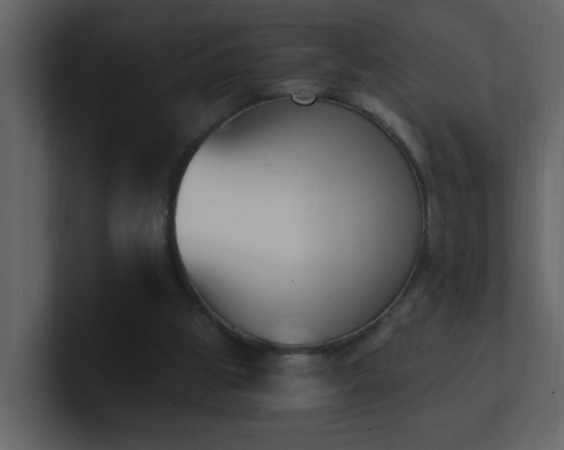 X0000101670153200807101408