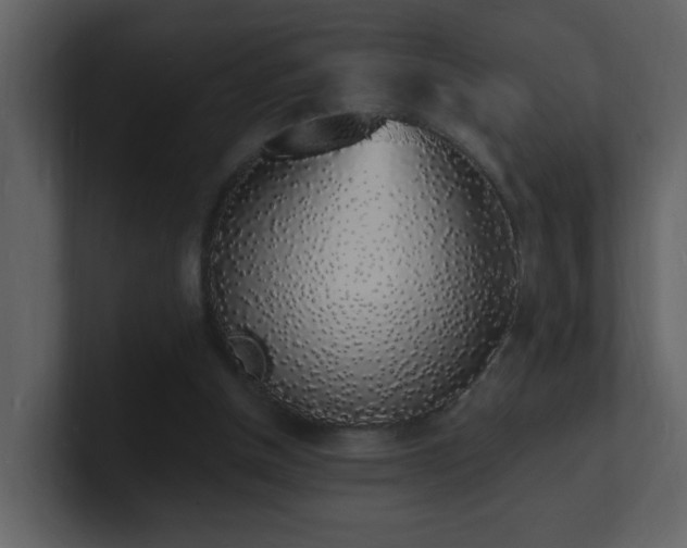 X0000101670154200807101408