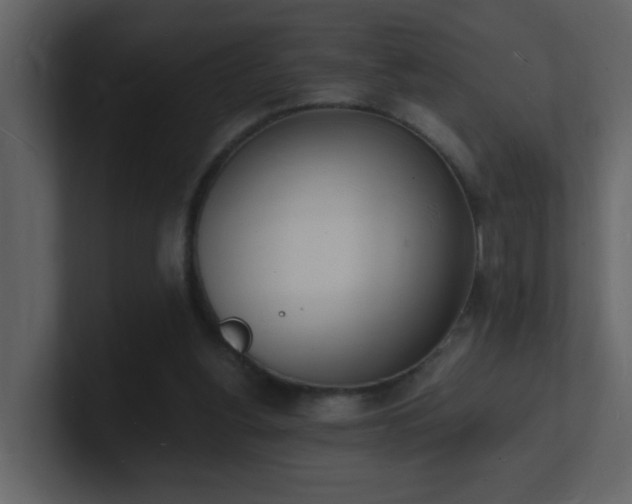 X0000101670156200807101408