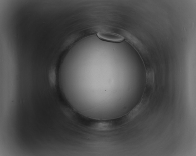 X0000101670158200807101408