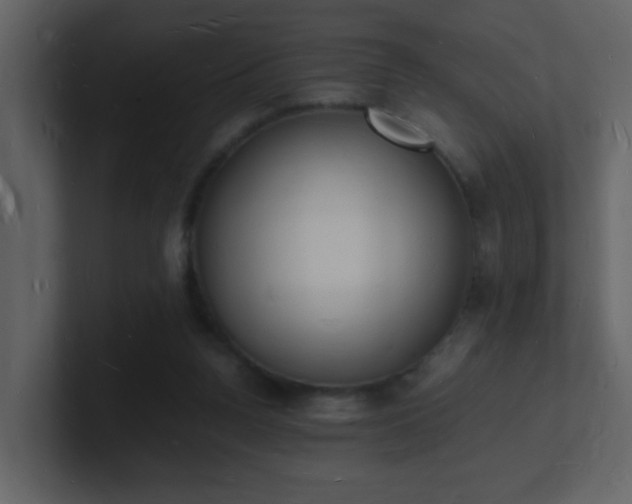 X0000101670160200807101408