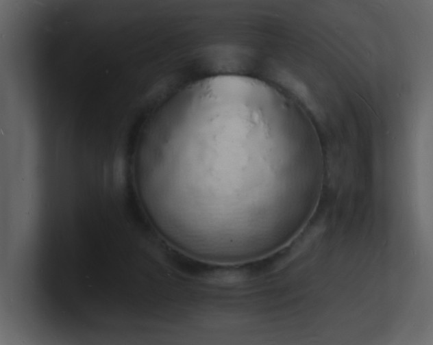 X0000101670161200807101408