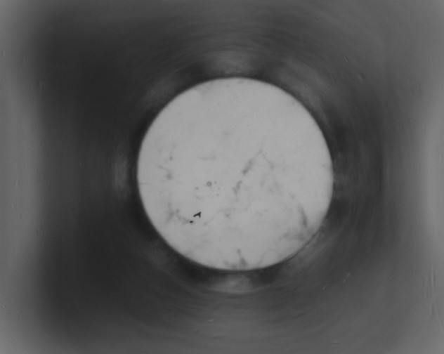 X0000101670162200807101408