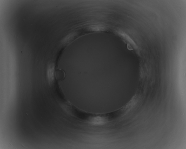 X0000101670163200807101408
