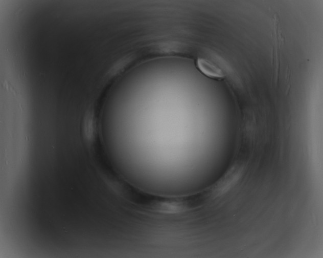 X0000101670164200807101408