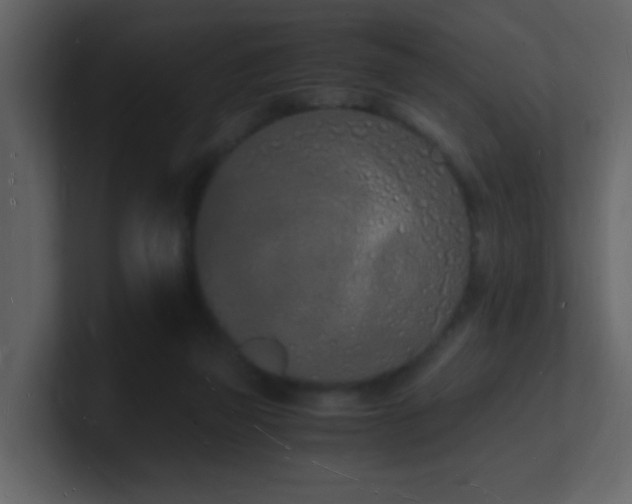 X0000101670165200807101408