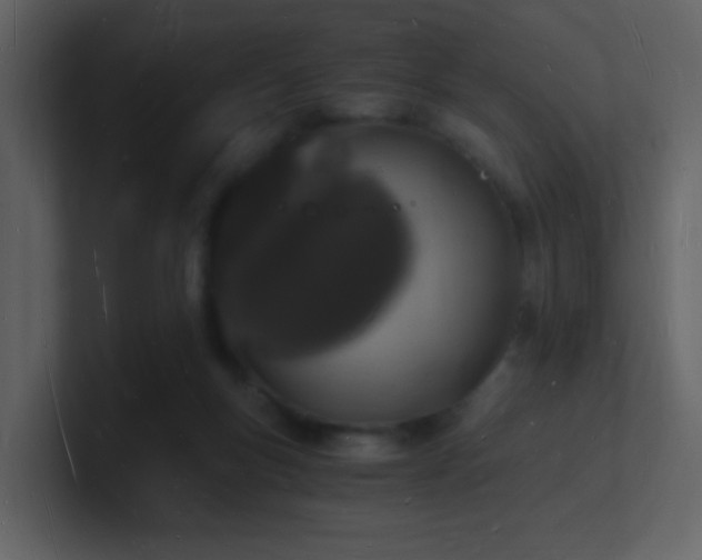 X0000101670167200807101408